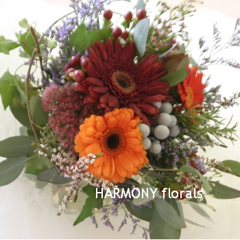 Harmony_Autumn09