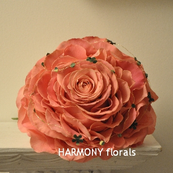 Harmony_Autumn14