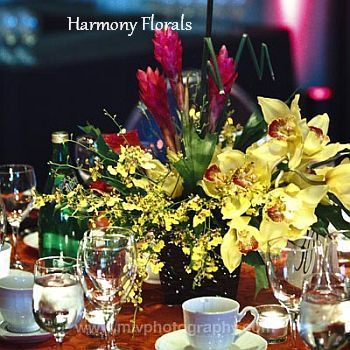 Harmony_Events08