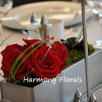 Harmony_Events21
