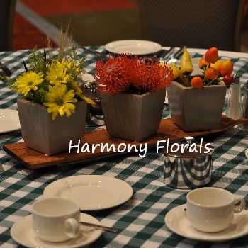 Harmony_Events24