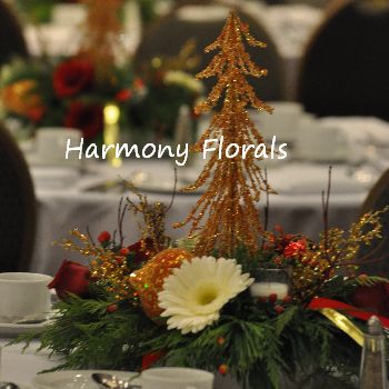 Harmony_Events26