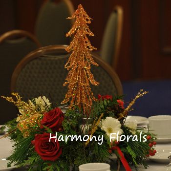 Harmony_Events27