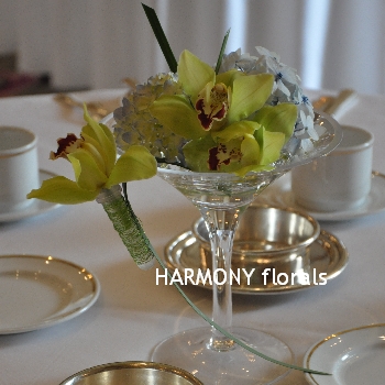 Harmony_Spring09