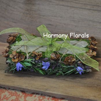 Harmony_Spring21