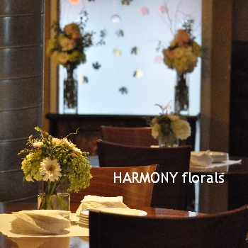 Harmony_Summer20