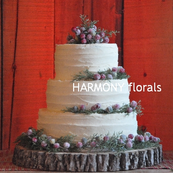 Harmony_Winter05