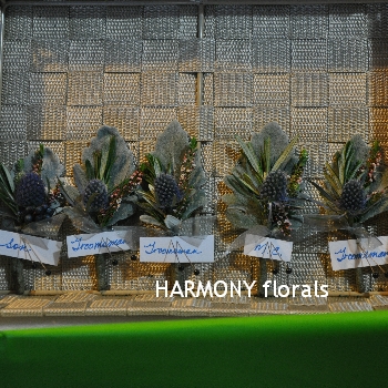 Harmony_Winter11